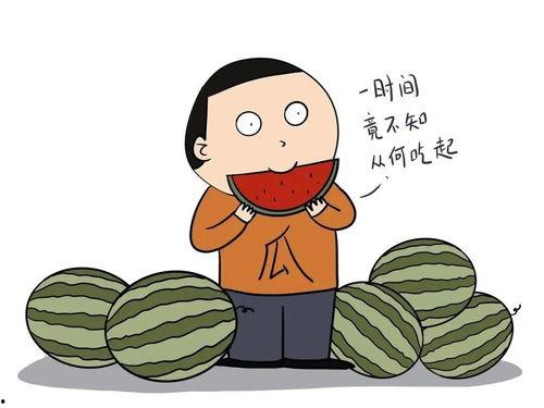 吃瓜歌怎么读,探寻流行歌曲中的趣味与智慧