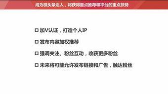 头条如何看文章阅读量,如何打造爆款内容