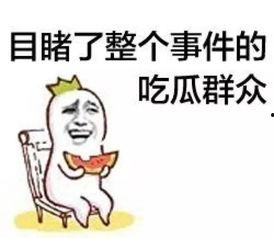 吃瓜群众小甲,揭秘吃瓜群众的趣味生活