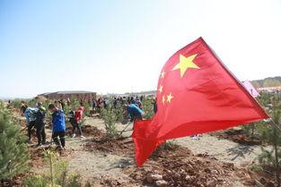 明星给祖国造林图片,明星植树造林，共筑祖国绿色家园”