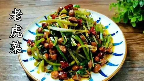 51吃瓜视频老虎菜,揭秘老虎菜背后的惊人真相