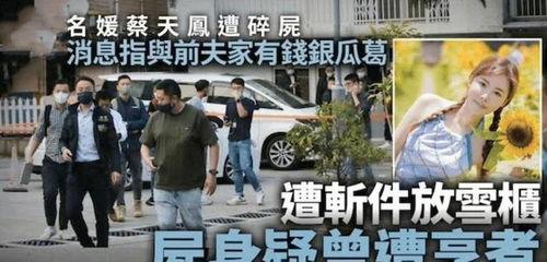 港媒爆料蔡天风视频,揭秘神秘人物真实身份