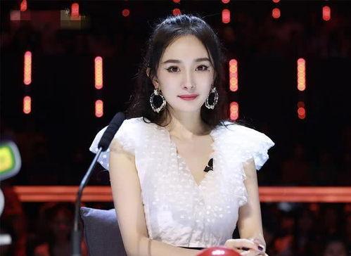 如何抓明星狐,捕捉明星风采的幕后攻略