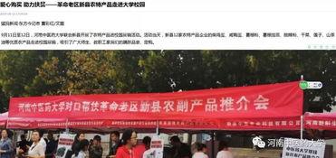 新县新闻头条新农村,新农村建设成果斐然，焕发勃勃生机