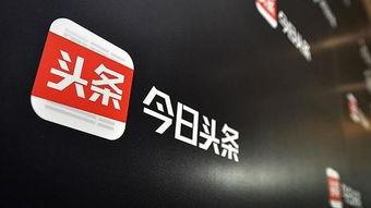 蒲燕子 今日头条,今日头条聚焦热点，传递社会正能量