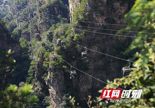 张家界红网,自然奇观与红色记忆的交融之地
