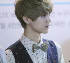 exo女明星,EXO女明星的璀璨风采