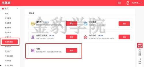头条专栏需要更新吗吗,紧跟时代脉搏，持续更新，引领资讯前沿