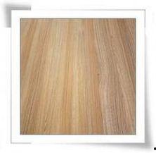 网红柚木第8季,探索新境界，柚木生活新篇章