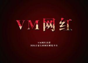 网红培训社群,揭秘网红培训社群的崛起之路