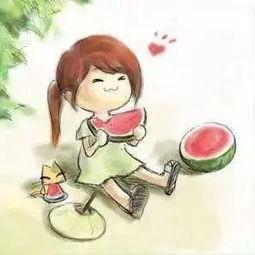 吃瓜小李和猹,一场意外的瓜田奇遇