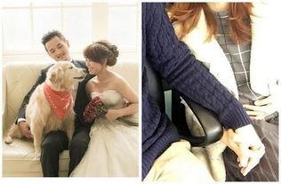 女明星怀孕结婚,女明星喜结连理，喜迎宝宝到来