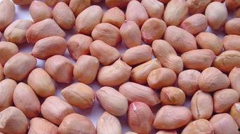 梦见女儿给我吃花生瓜,女儿馈赠花生瓜的温馨回忆