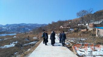 陇县大王寨新闻头条,乡村振兴新篇章，特色农业助力发展