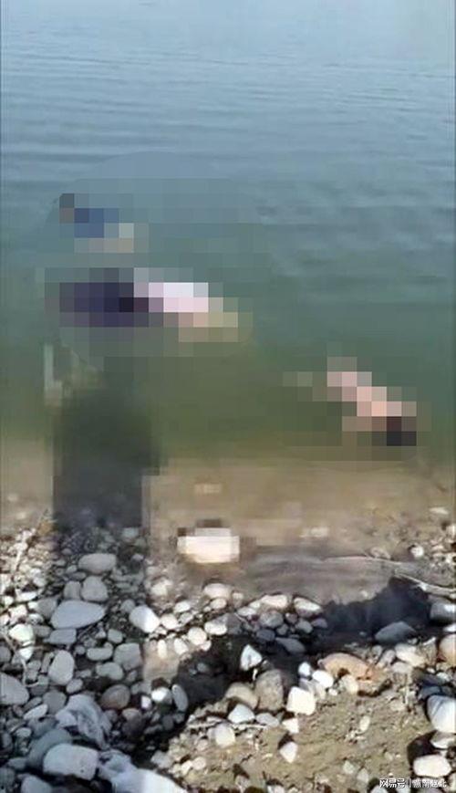 多人爆料溺亡事件视频,溺亡事件视频引发社会关注