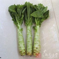 原神莴苣妈妈爆料视频,莴苣妈妈爆料视频揭秘，神秘角色与剧情大揭秘！