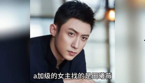 娱乐圈八卦吃瓜爆料金晨,揭秘她的成名之路与情感纠葛